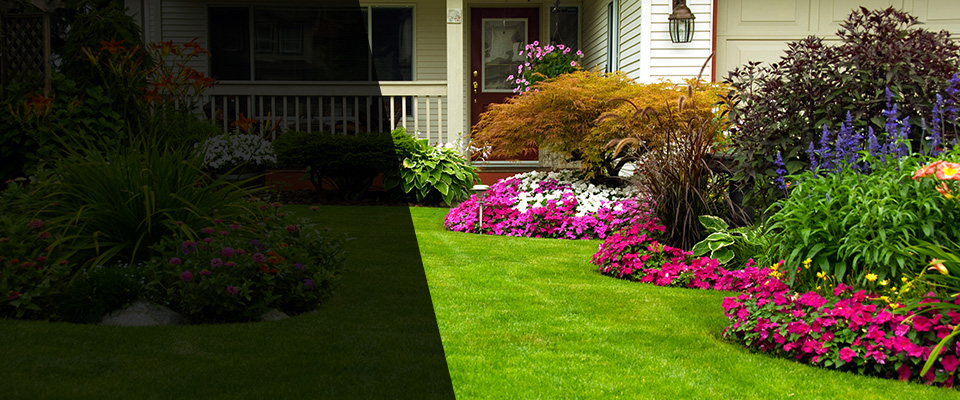 Tucker Landscapers