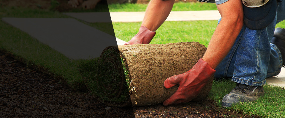 Tucker Landscapers